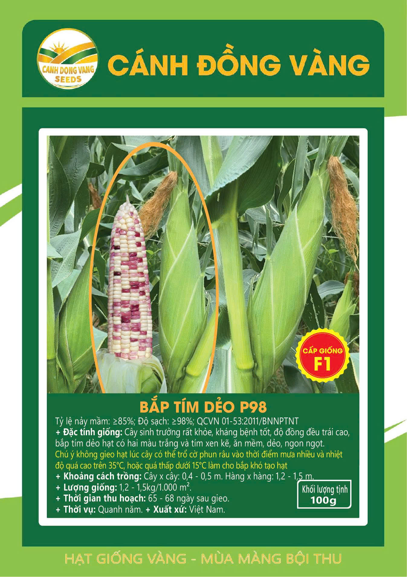 BẮP TÍM DẺO P98